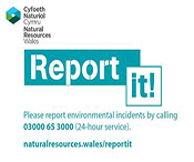 report it