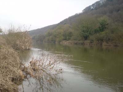 wye