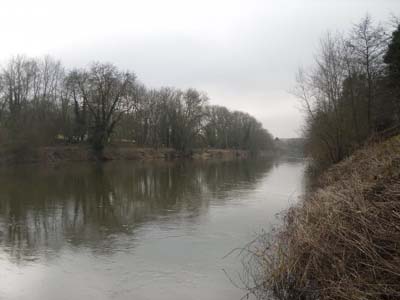 wye